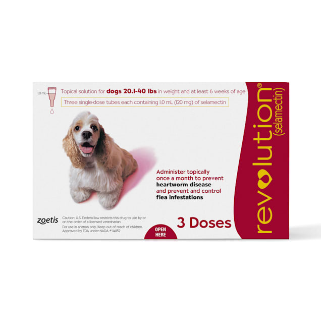 Dog lice clearance treatment revolution