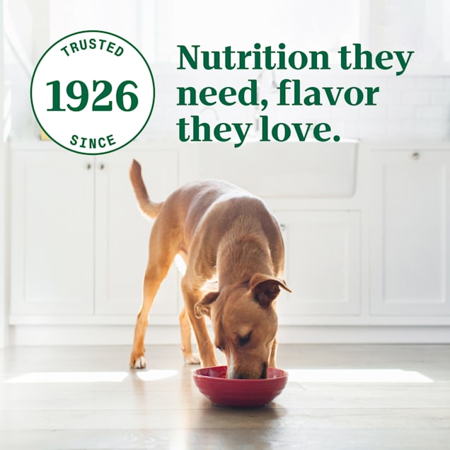 Nutro ultra wet dog food top