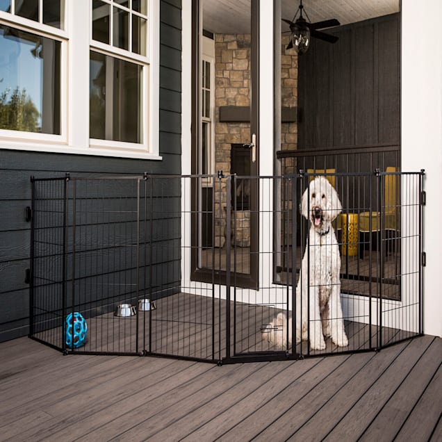 Carlson pet gate extra wide on sale
