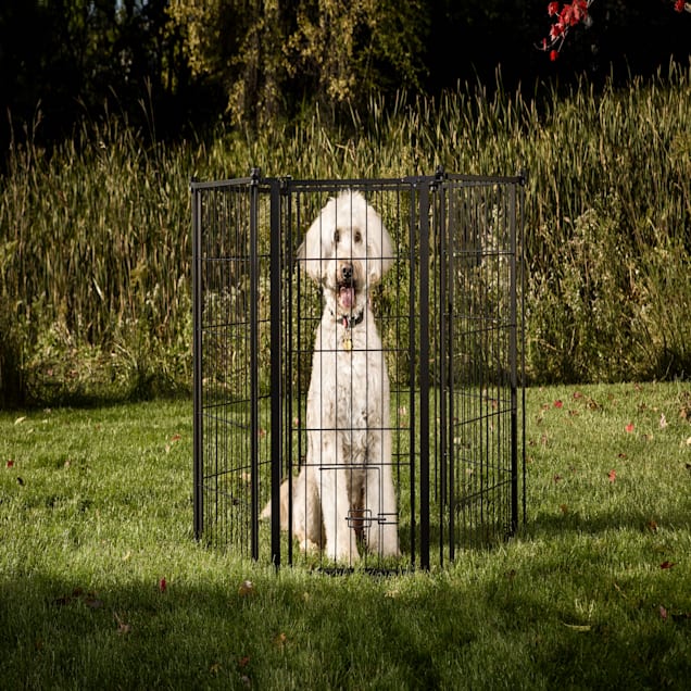 Carlson Pet Products Weatherproof Outdoor Super Gate 144