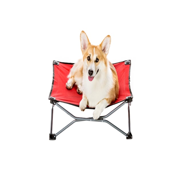 Carlson pet products portable pup travel pet bed clearance