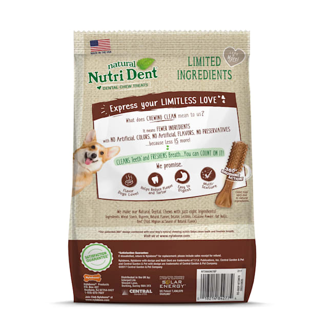 Nutri dent dental chews outlet