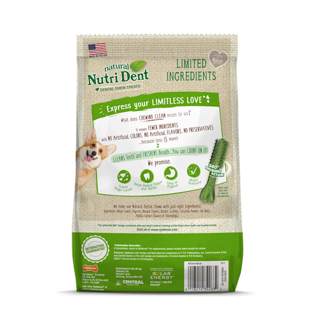 Nutri dent for dogs online