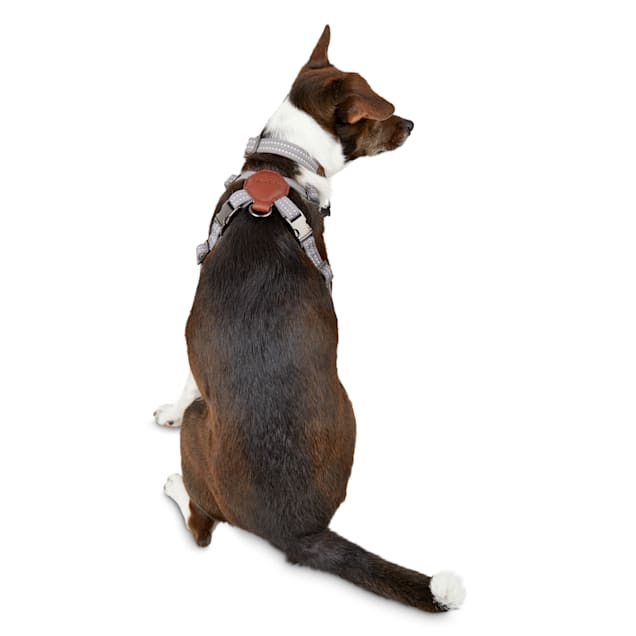 Reddy dog harness hot sale small