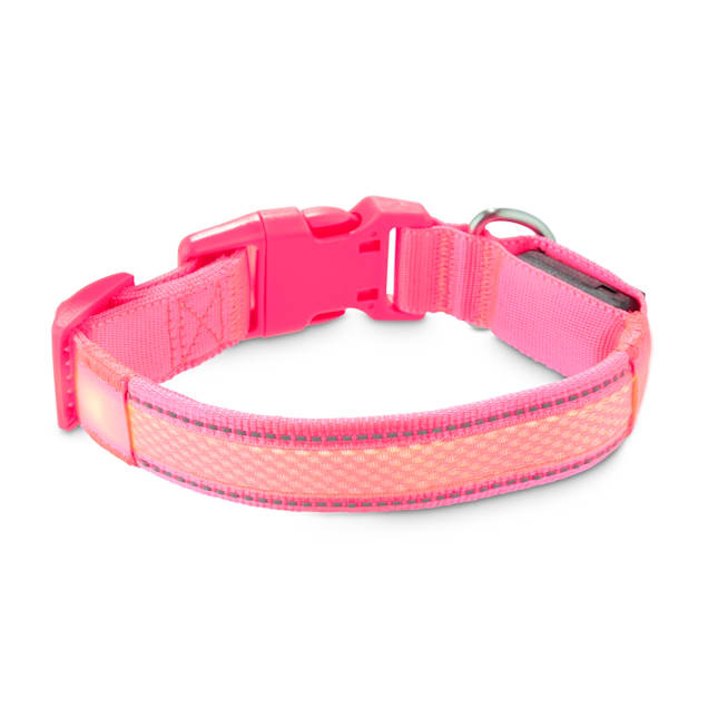 Good2go light up collar instructions clearance