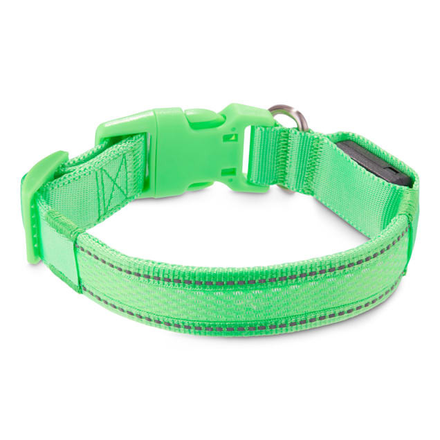 Good2go light up collar clearance