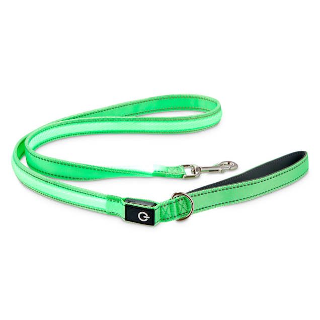 Neon dog leash clearance
