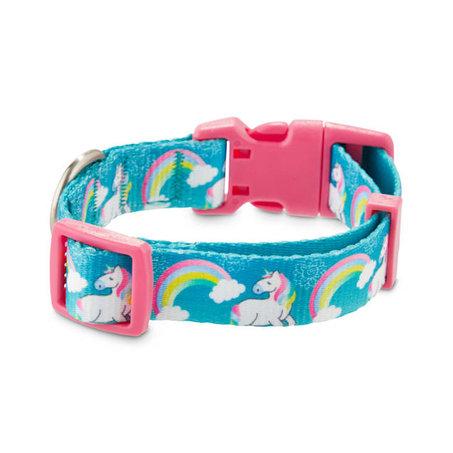 Dog collars at petco clearance