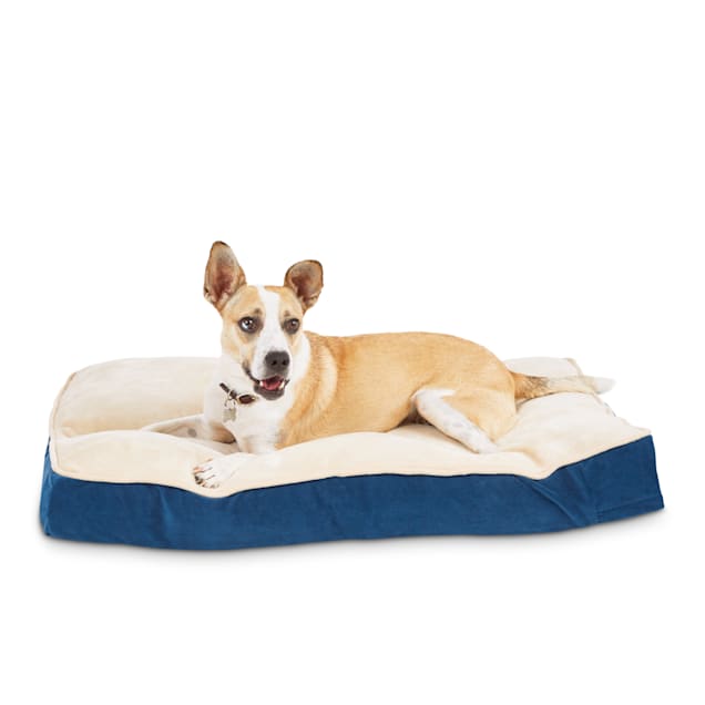 Puppy essentials package petco 2025