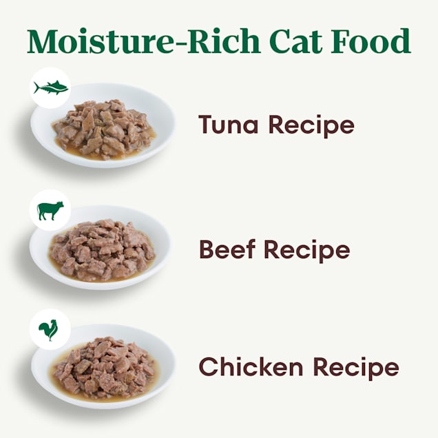 Nutro grain free cat food hot sale