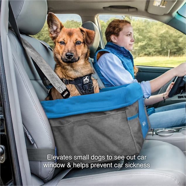 Petco dog shop car harness