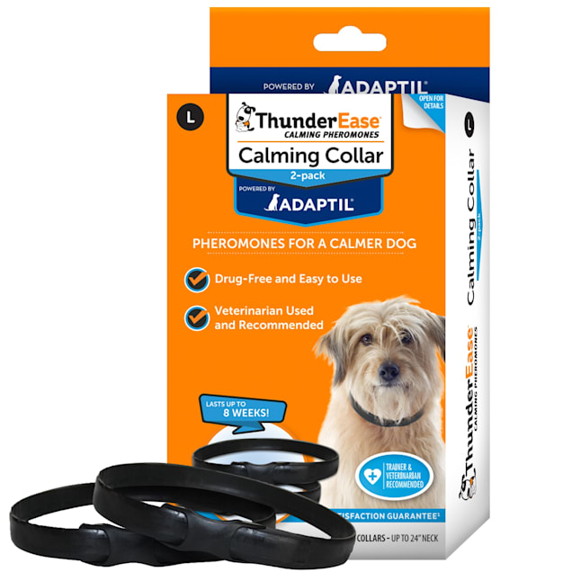 Calming cone for dogs