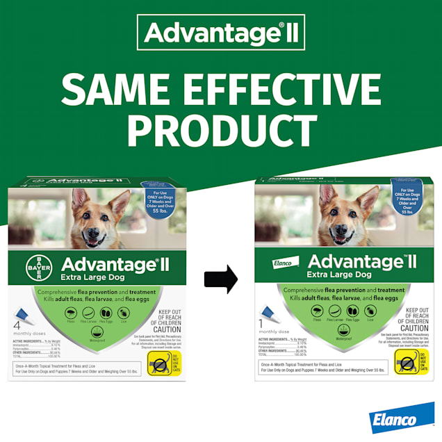 Petco advantage ii large dog sales