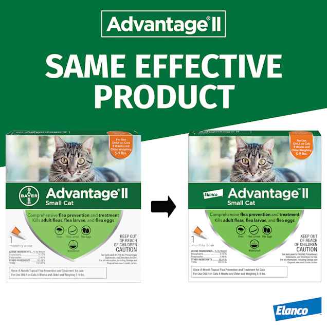 Advantage II Bayer Once A Month Cat Kitten Topical Flea