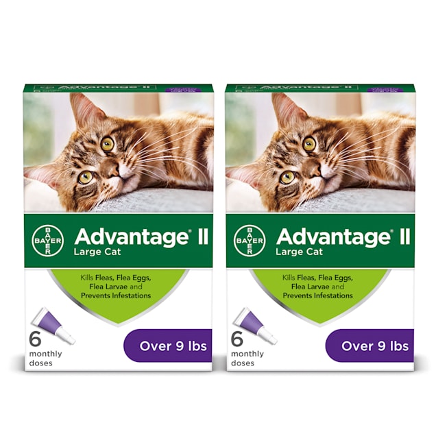 Petco advantage ii cheap