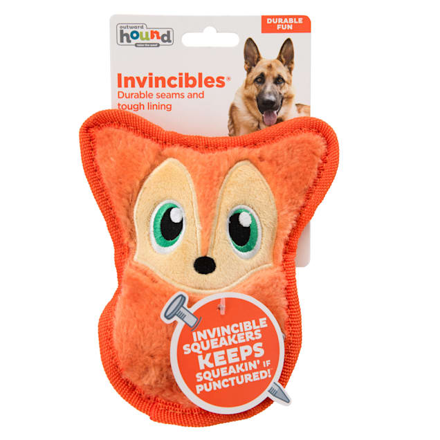 Outward Hound Invincible Dog Toy Halloween 2 Squeaky DURABLE, NO STUFFING 2  Pack