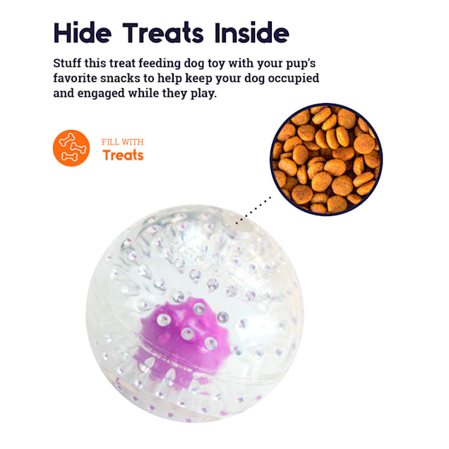 Pet treat ball clearance