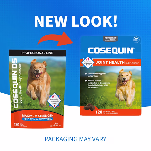 NUTRAMAX COSEQUIN DS Plus MSM Professional Line for Dogs, Count of