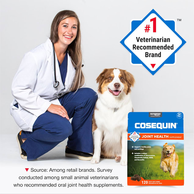 NUTRAMAX COSEQUIN DS Plus MSM Professional Line for Dogs Count of 120