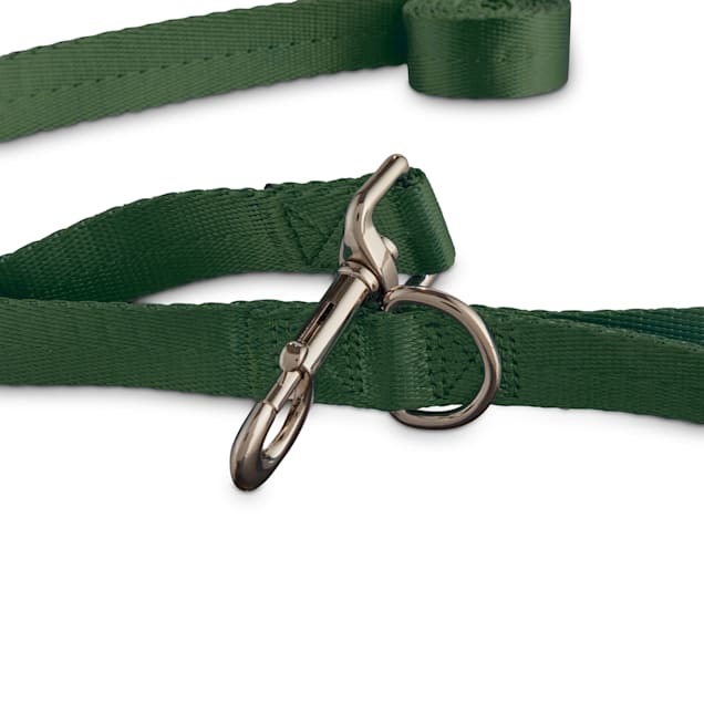 Dark green dog leash Clearance