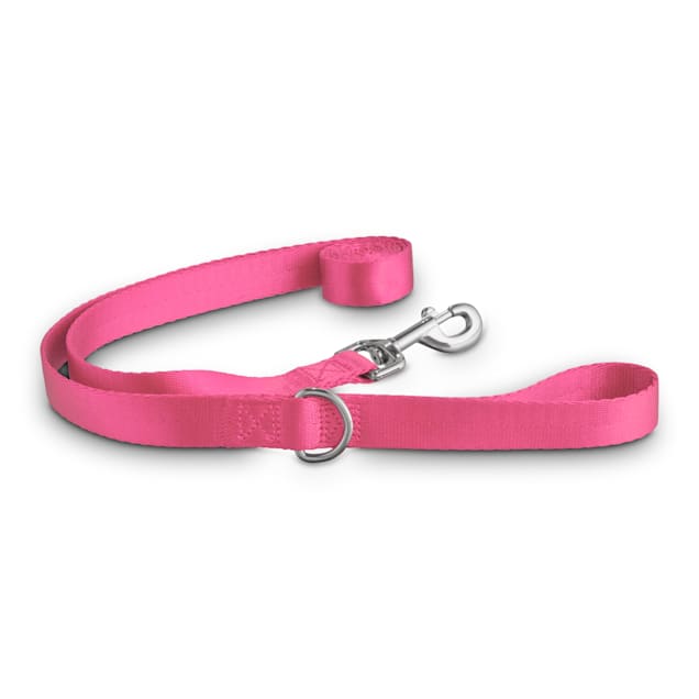 Good2Go Pink Nylon Dog Leash, 1" Width, 6 ft. - Carousel image #1