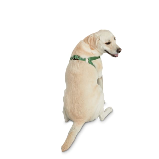 Khaki green dog harness clearance