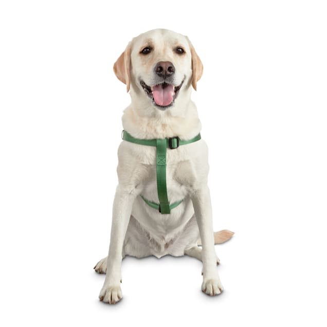 Khaki green dog harness clearance