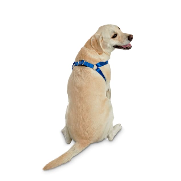 Good2Go Easy Step In Blue Comfort Dog Harness Large X Large