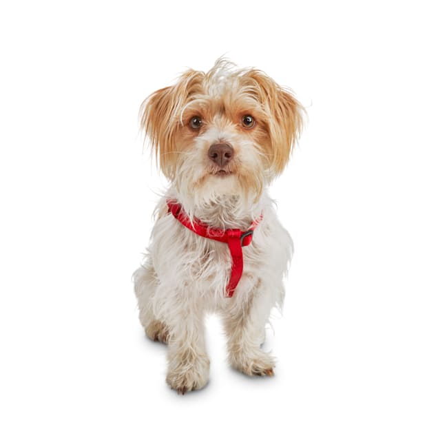 Good2Go Easy Step-In Red Comfort Dog Harness, X-Small