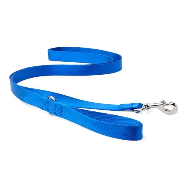 Blue dog leash clearance