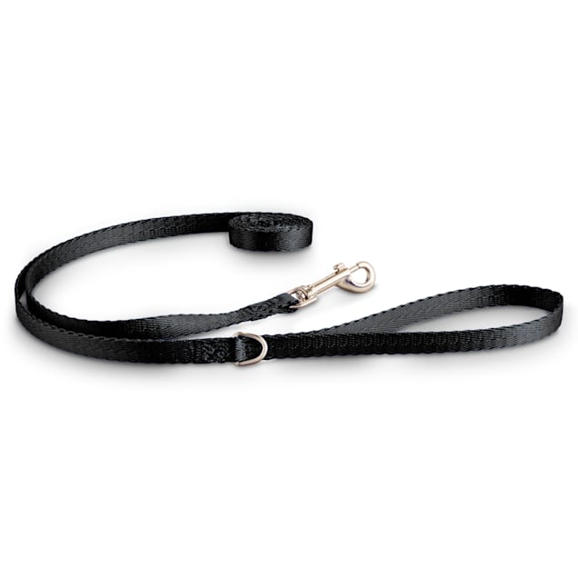 Nylon leash for dogs petco clearance