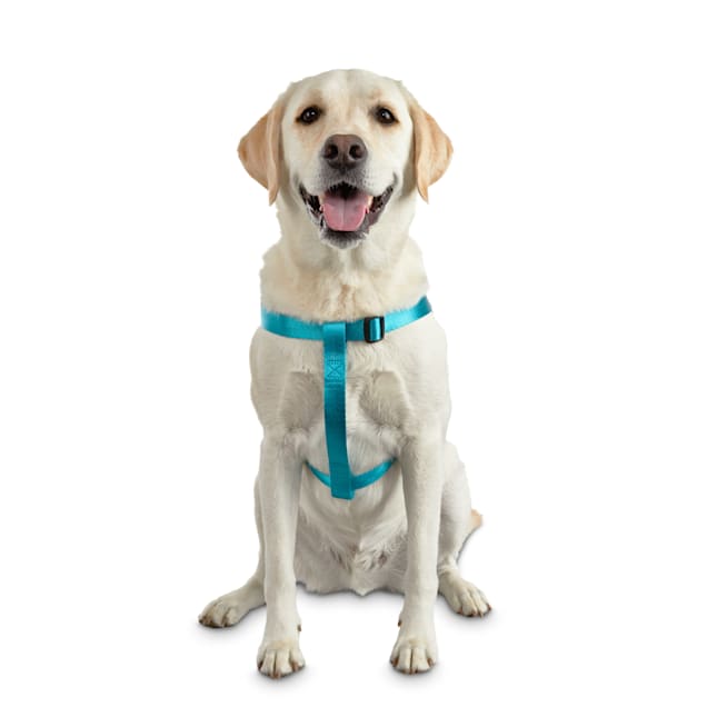 Rabbitgoo dog harness petco Clearance