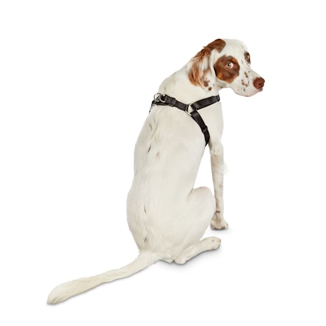 Good2go step in clearance harness