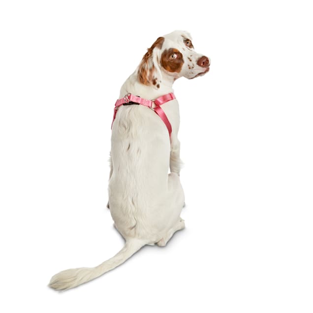 pink dog harness medium