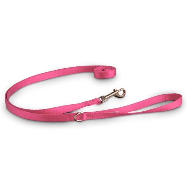 Nylon leash for dogs petco clearance