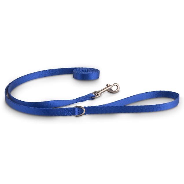 Good2Go Blue Nylon Dog Leash, 1/2" Width, 6 ft. Petco