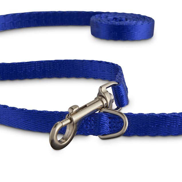 1 X 19 Prism Choice Nylon Blue Dog Collar - Gebo's