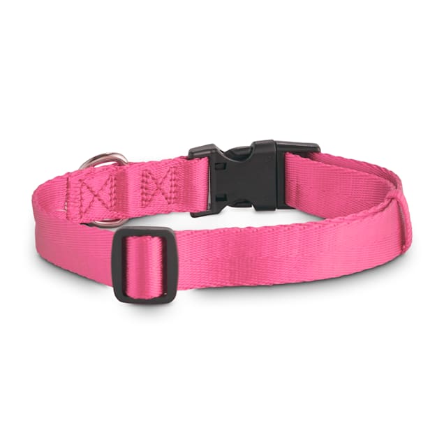 Pink nylon dog collar Clearance
