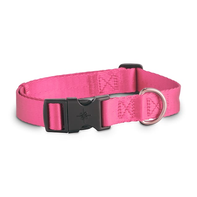Petco pink dog collar clearance