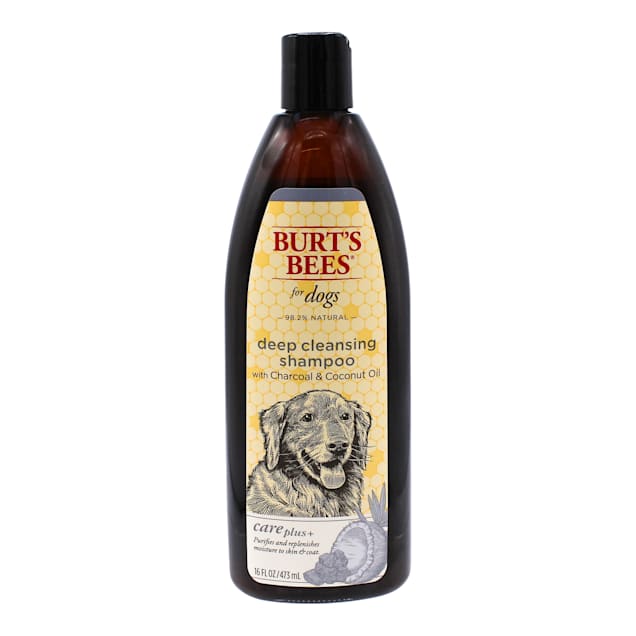 Burt's Bees Care Plus+ Charcoal & Coconut Oil Deep Cleansing Shampoo for Dogs, 16 fl. oz. - Carousel image #1