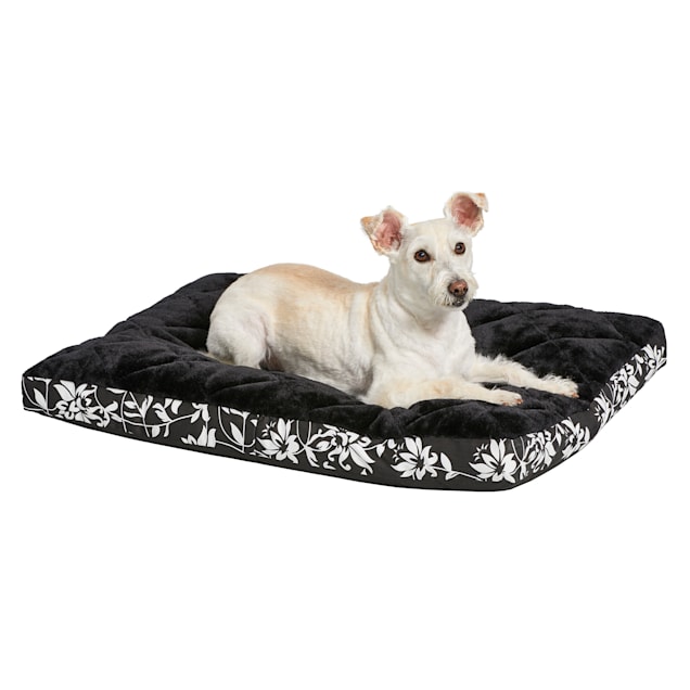 Midwest Quiet Time Couture Carlisle Mattress Black Floral Dog Bed, 30