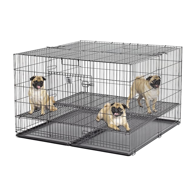 Petco playpen clearance