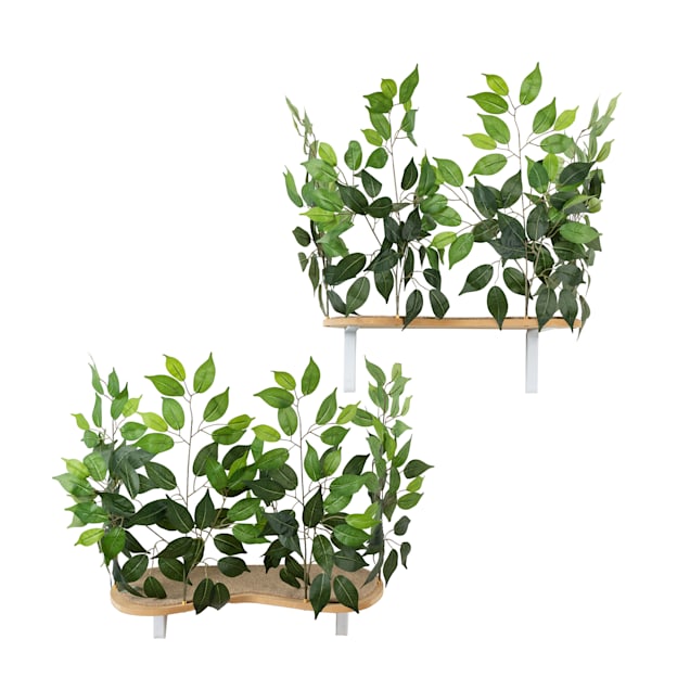 On2Pets Luxury Cat Canopy Shelves 15