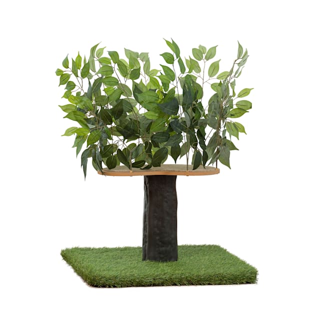 On2Pets Luxury Square Cat Tree, 36" H Petco