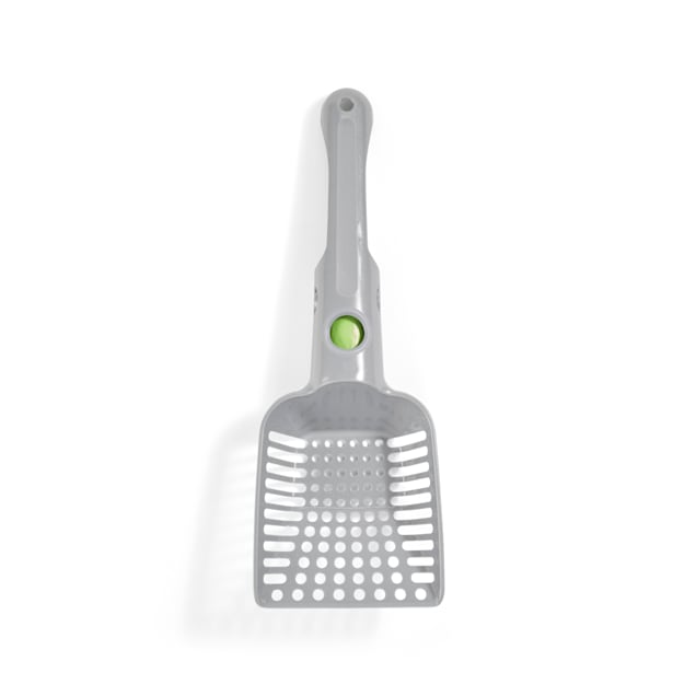 Scooper cat hot sale
