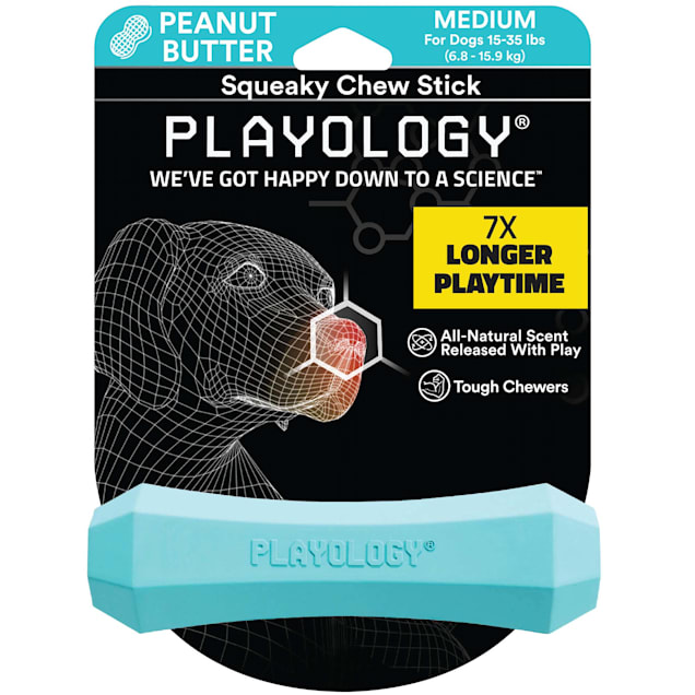 Playology Squeaky Scented Chew Stick Dog Toy - Peanut Butter