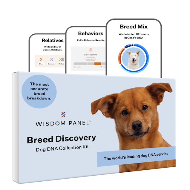 Dog breed cheap identifier test