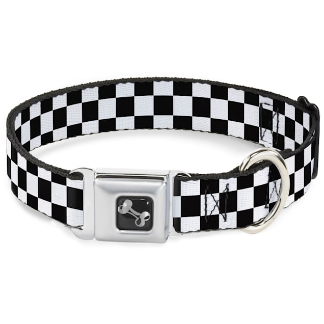 Belt buckle style dog collars hot sale