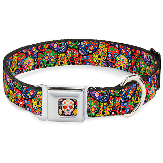Buckle down collars store
