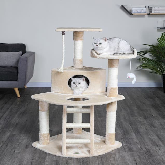 Cat tree discount hanging toys
